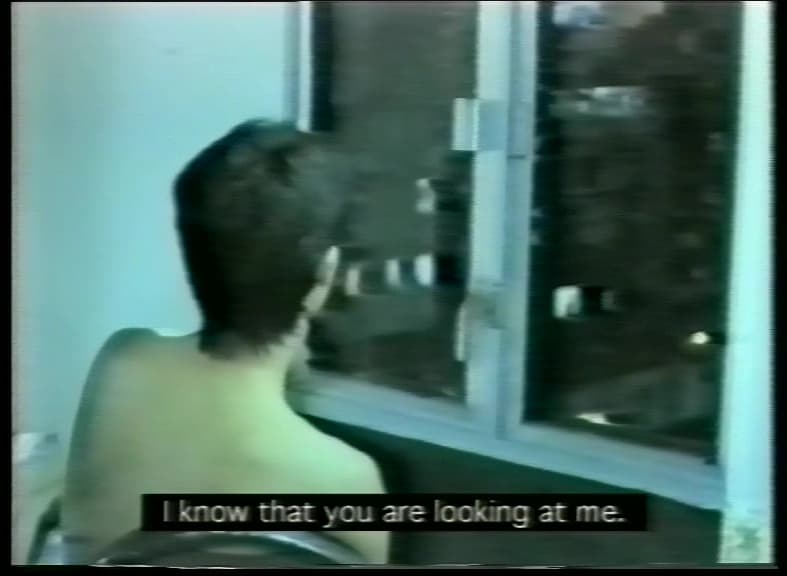 Video Window 錄影窗