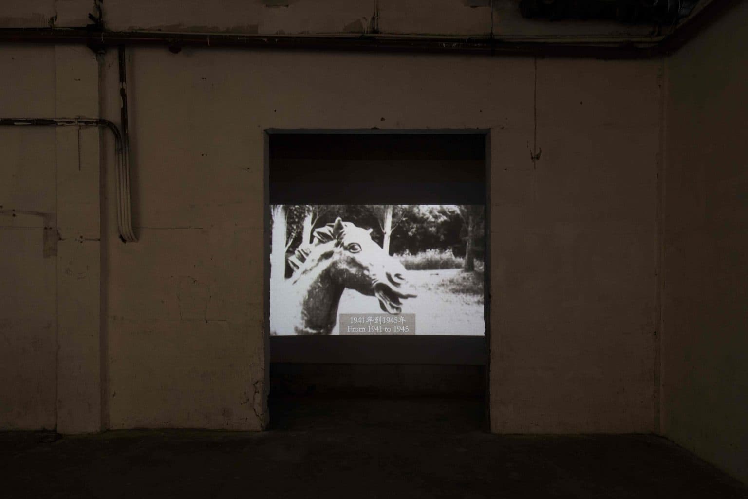 From Truck Driver to the Political Commissar of the Mounted Troops 從卡車司機到騎兵政委