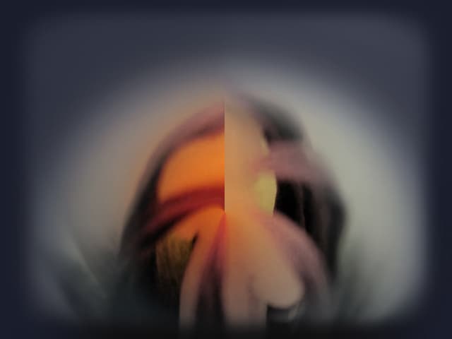 The Dawn of the Light