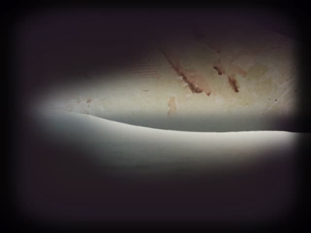 The Dawn of the Light