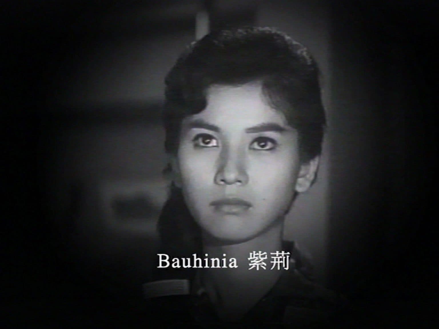 Doors Medley 重重門。門對門。