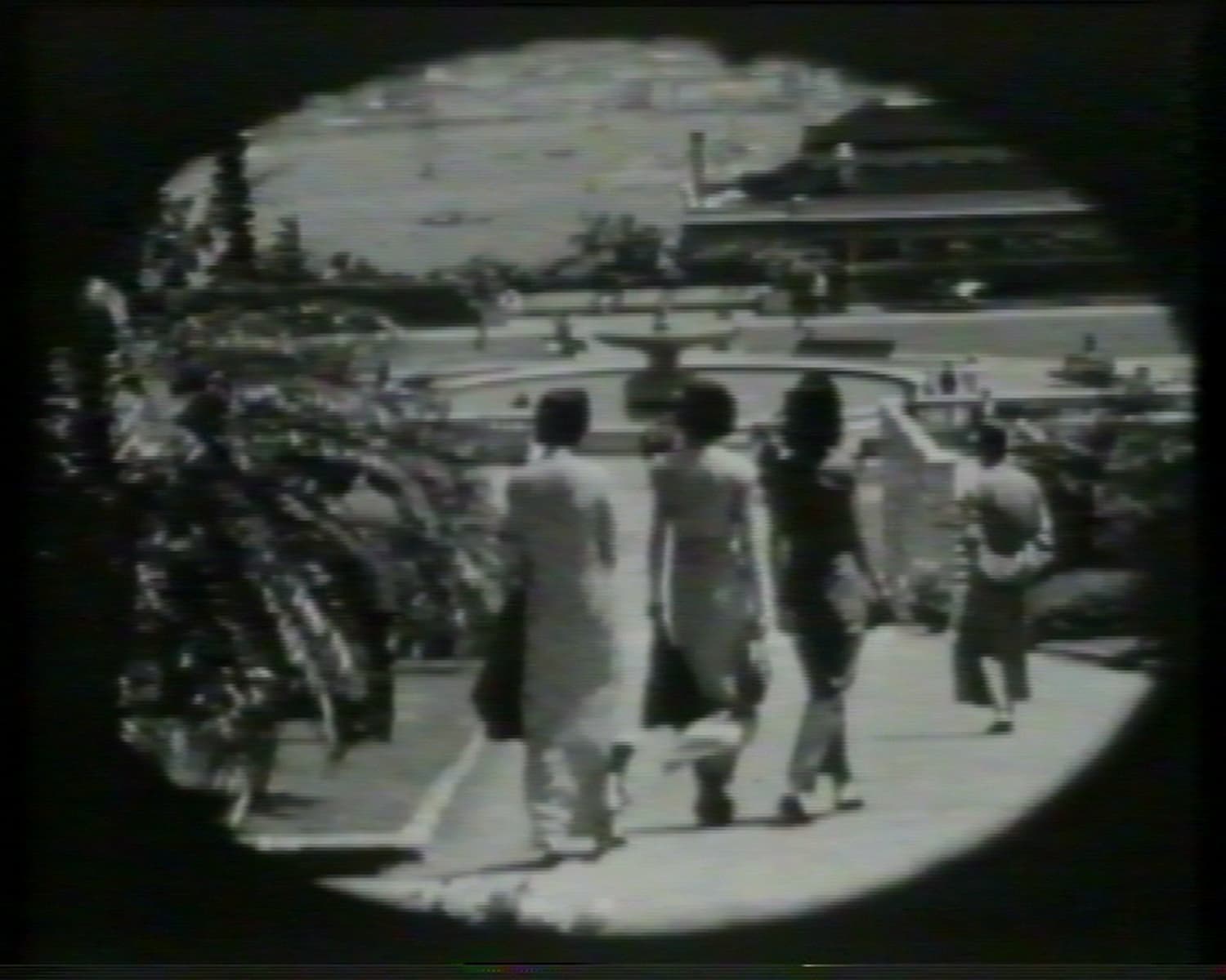 She Said Why Me 她說為何是我