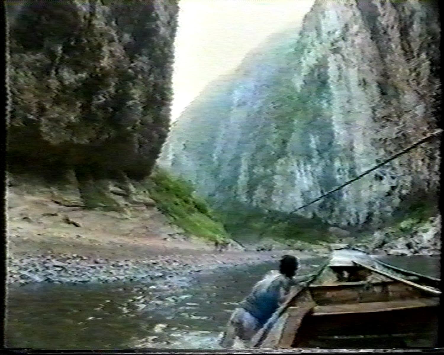 A Letter to Mo 給毛的一封信