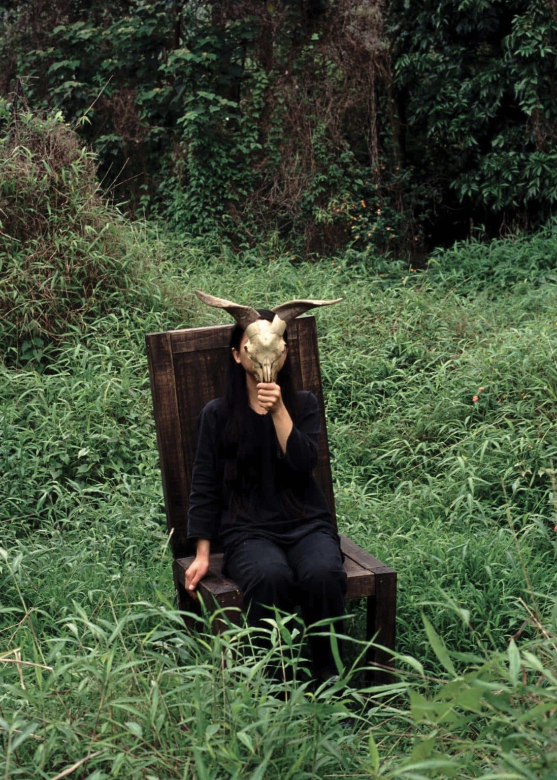 LO Yin Shan 盧燕珊