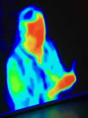 Phoebe WONG 黃小燕