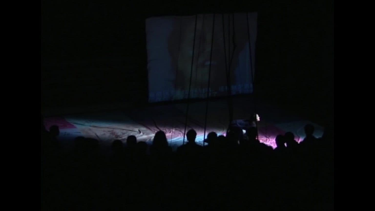 Report on Giving Birth 生育報告