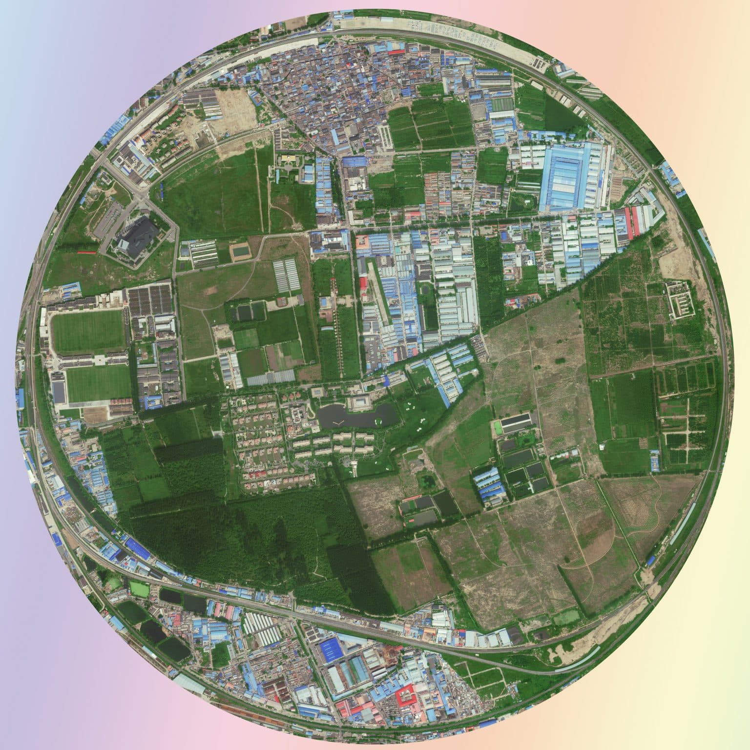 To Friend or Not to Friend 黑橋選擇之歌