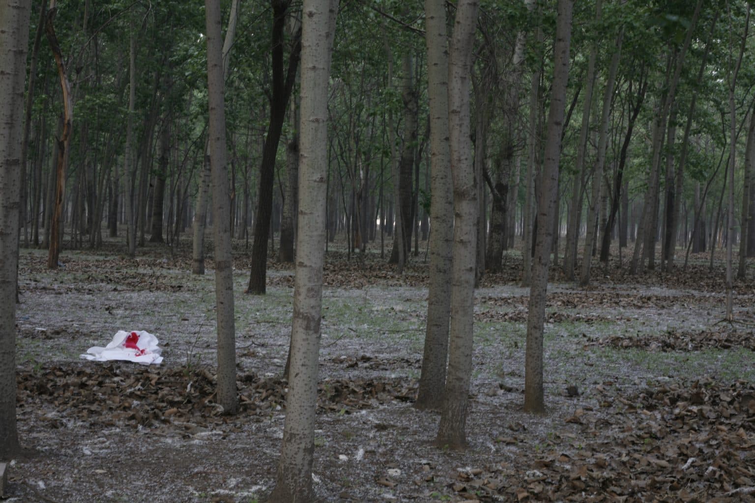 Unfinished Country 未完成的村莊