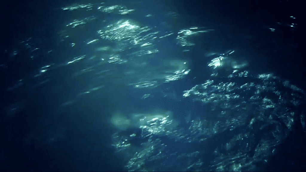 Loneliness Blue | 寂寞的藍