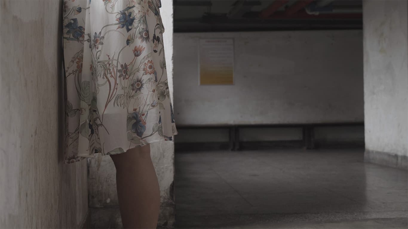 And It Came to Pass 而它來去匆匆