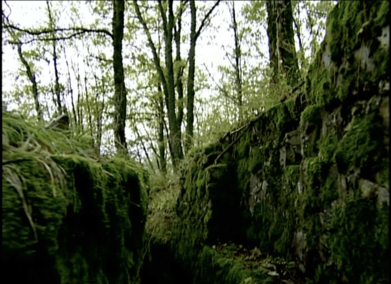 HWK (The Scars of the Invisible)