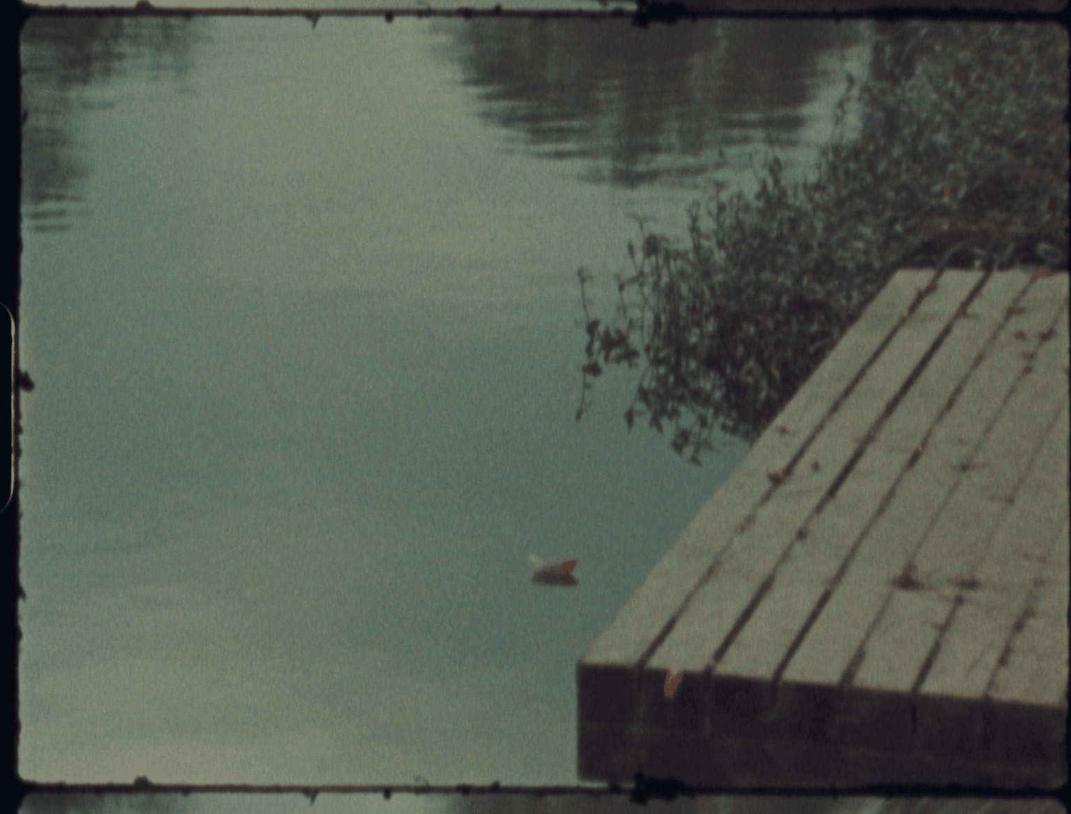 This Shore: A Family Story 此岸：一個家族故事