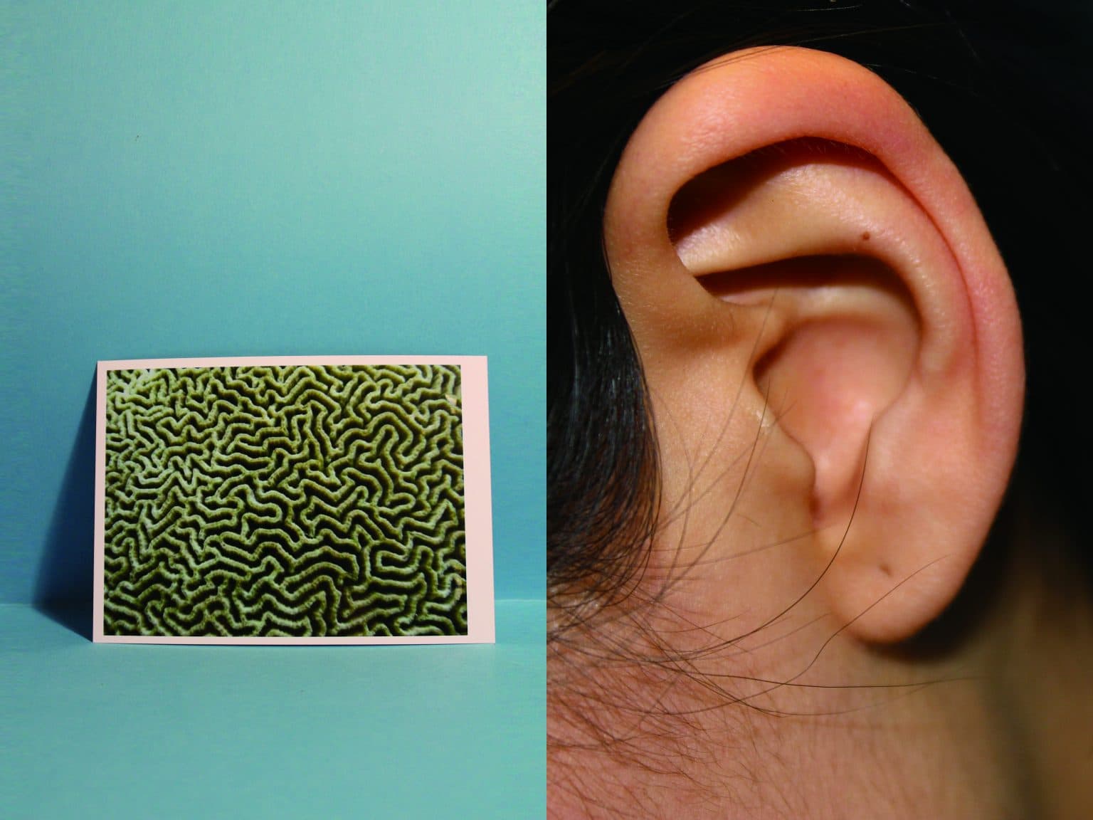 Oh, girl 噢，女孩