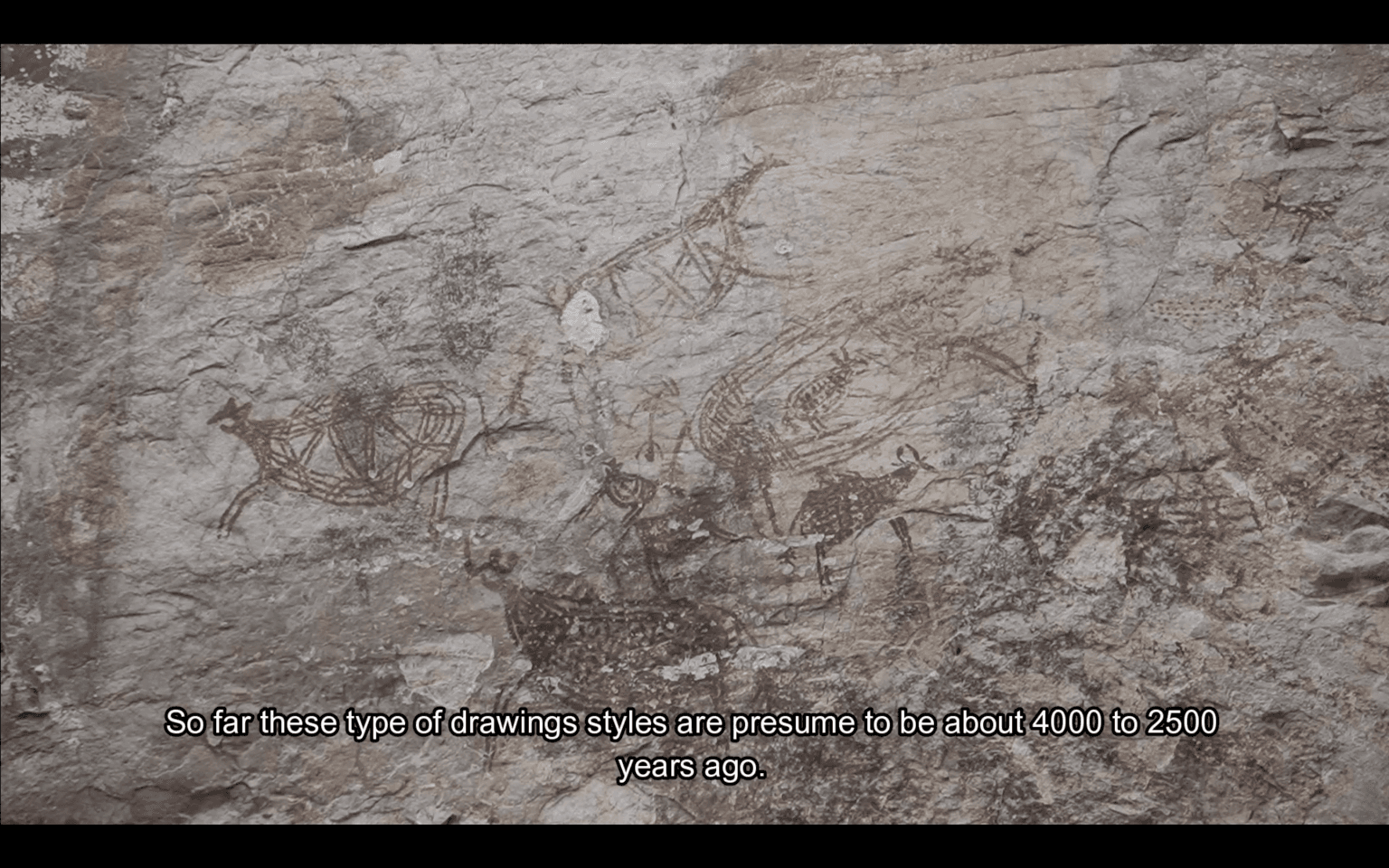 Fragile And Disappearing