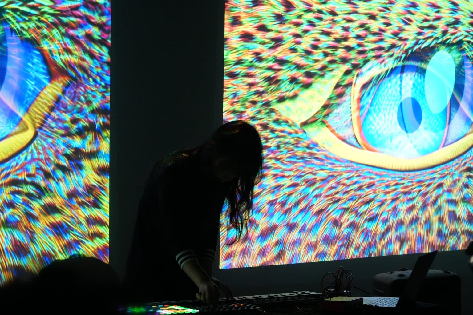 An-Ting and Ian Gallagher: Lost Communications 安婷及Ian Gallagher: 失絡之聲