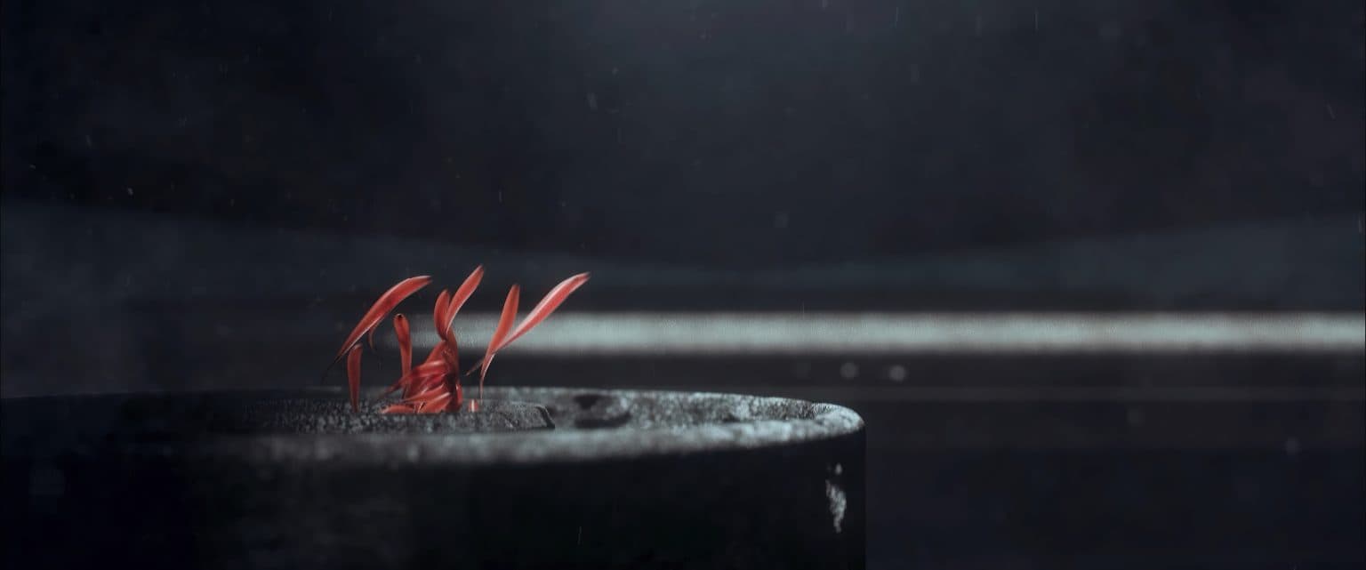 Both Sides Now IX: Generations 彼岸觀自在9：生成世代