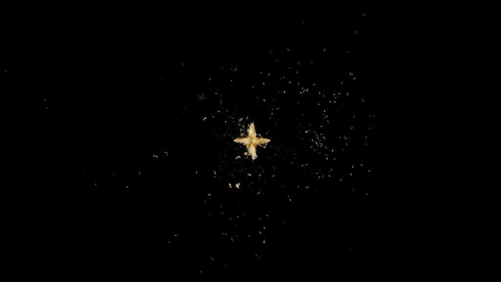 Sparkling Fountain｜星星噴泉