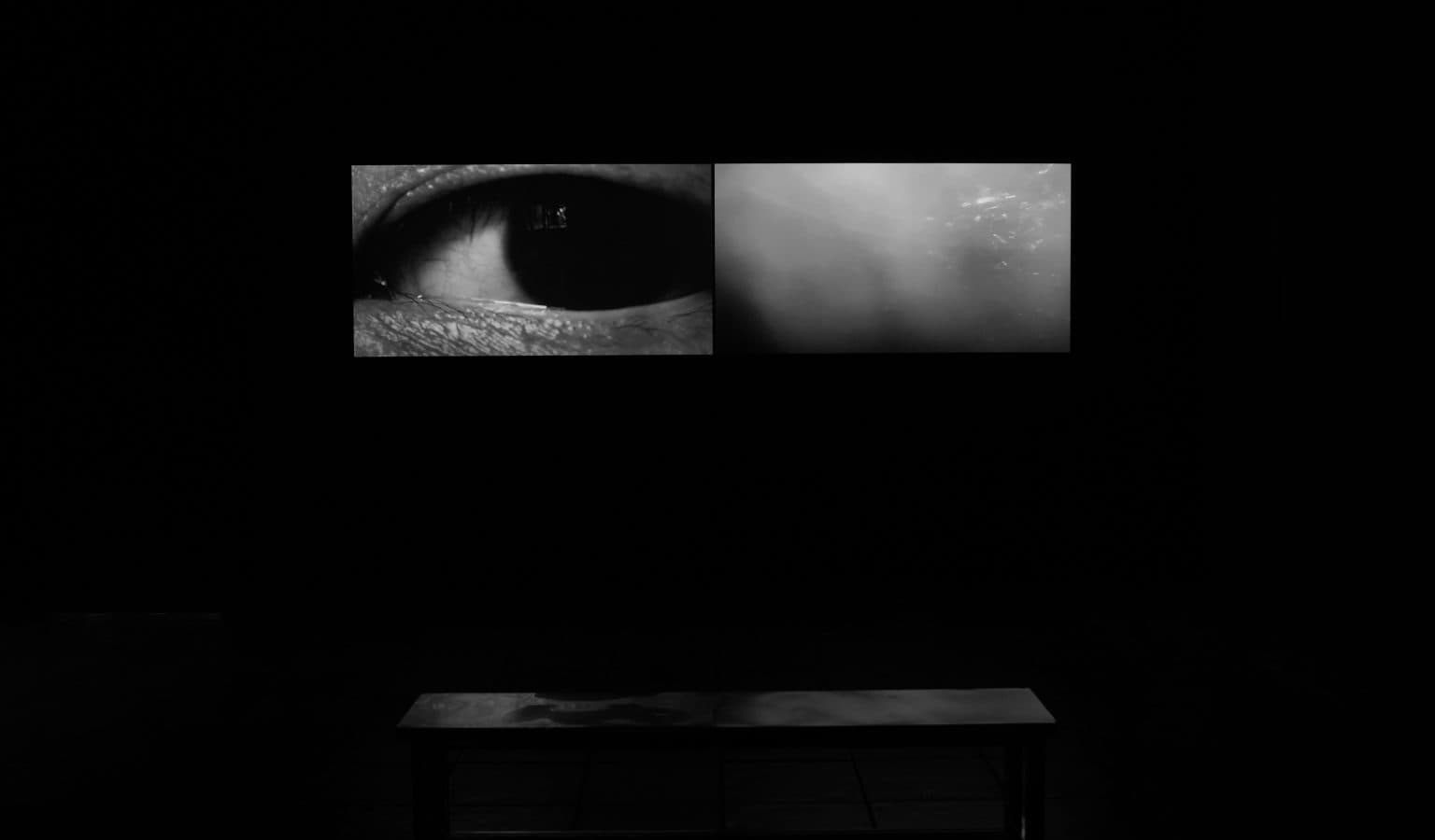 From Dust to Light 光散落在四處