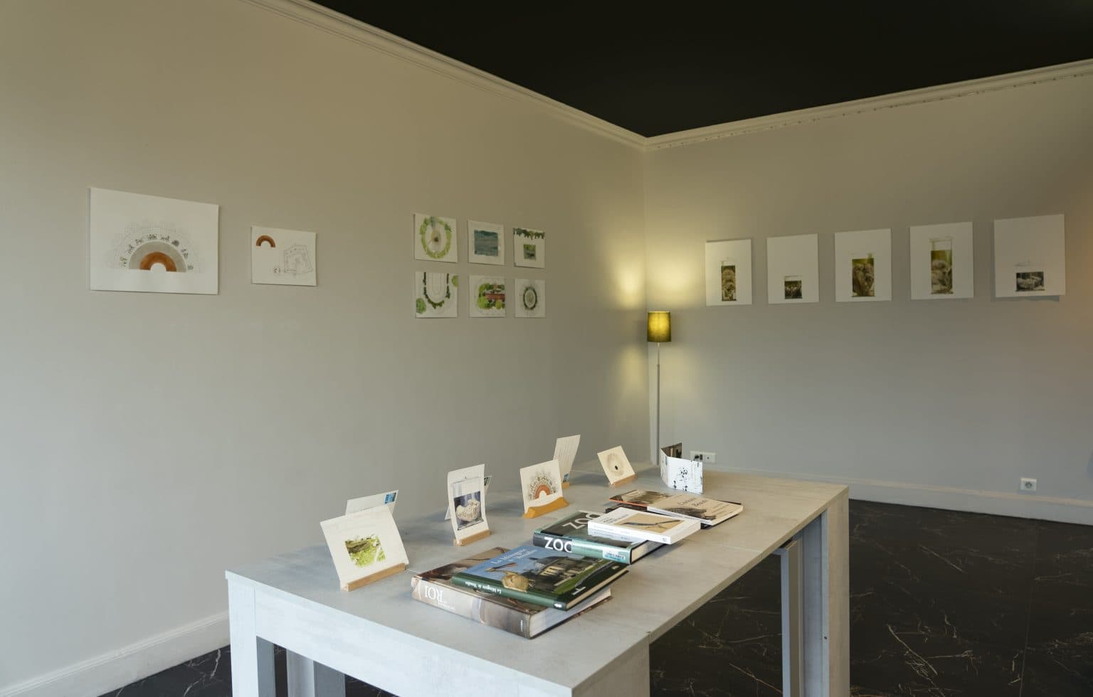 Micromégas: Vvzela Kook 微觀巨世：曲淵澈