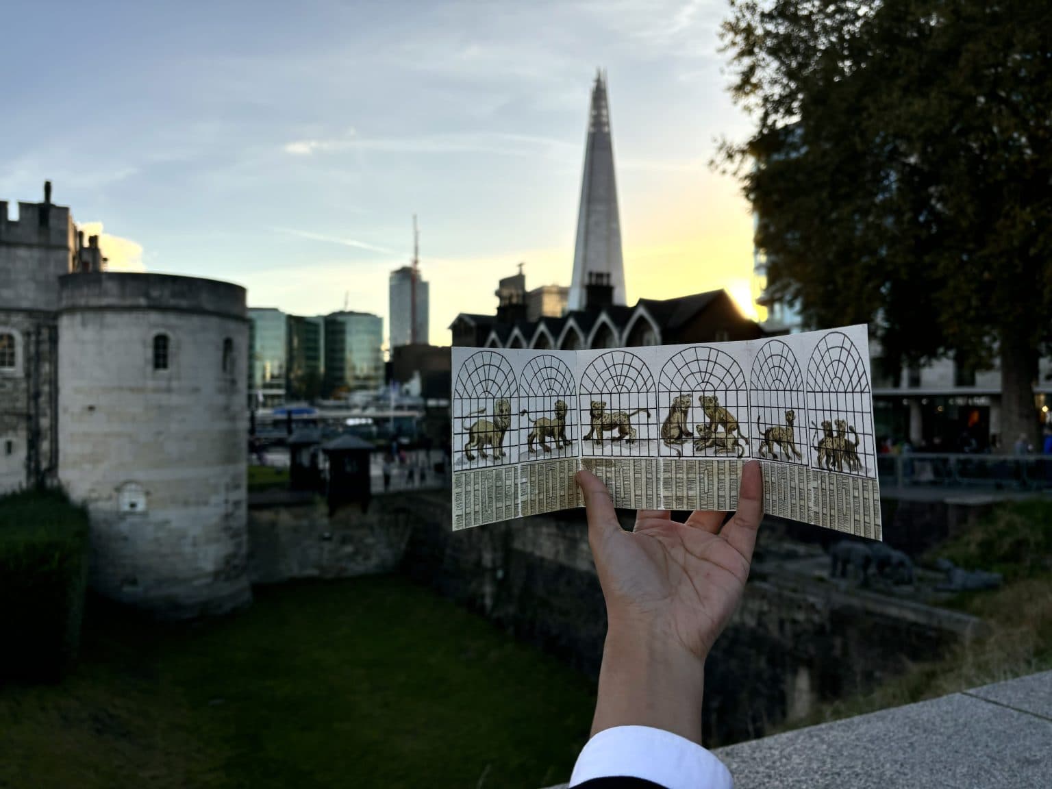 Micromégas: Vvzela Kook 微觀巨世：曲淵澈