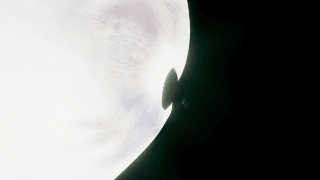 Nothing Really Happened 