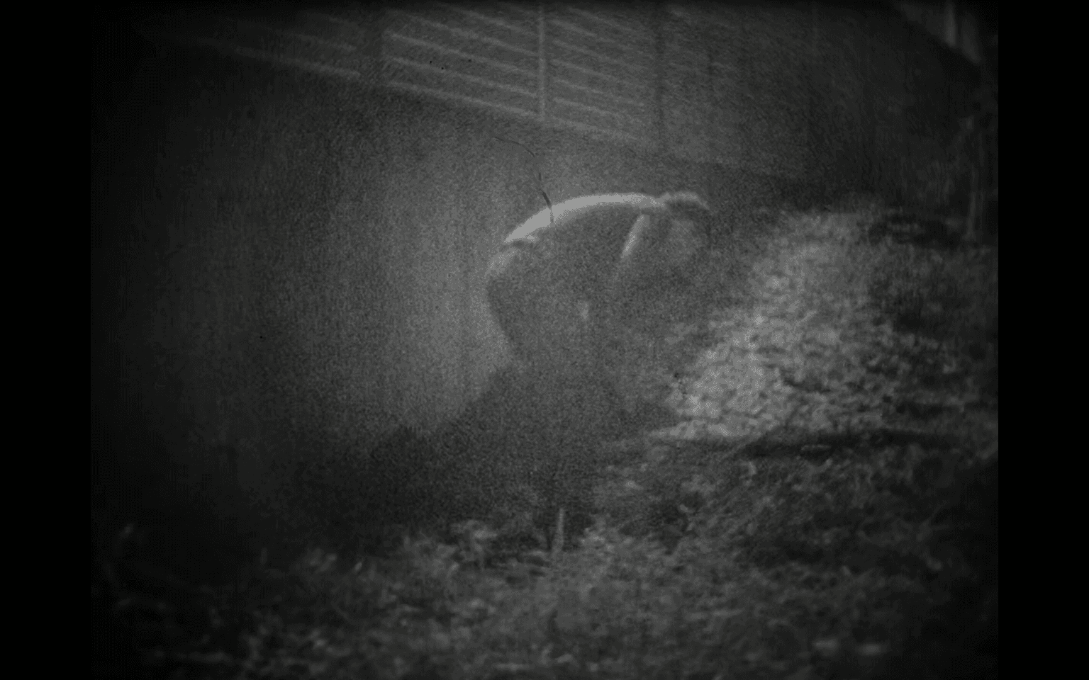 The Narrow Road to the Deep Sea, Part IV: The Digger 通向深海的狹道，第四章：挖掘工