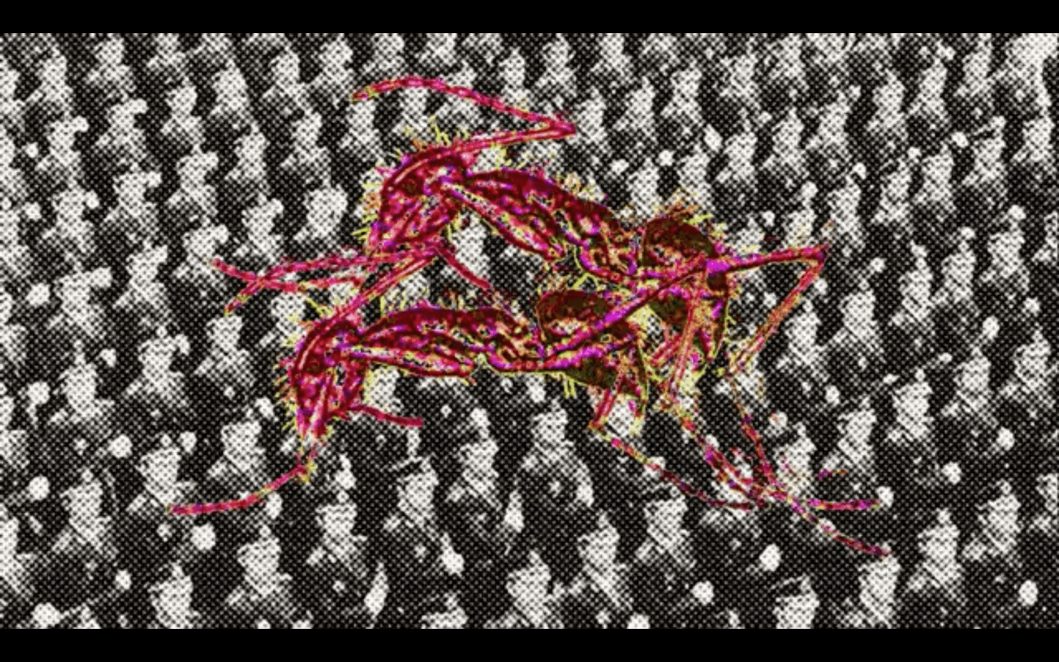 Power of the Reproduction 複制的力量