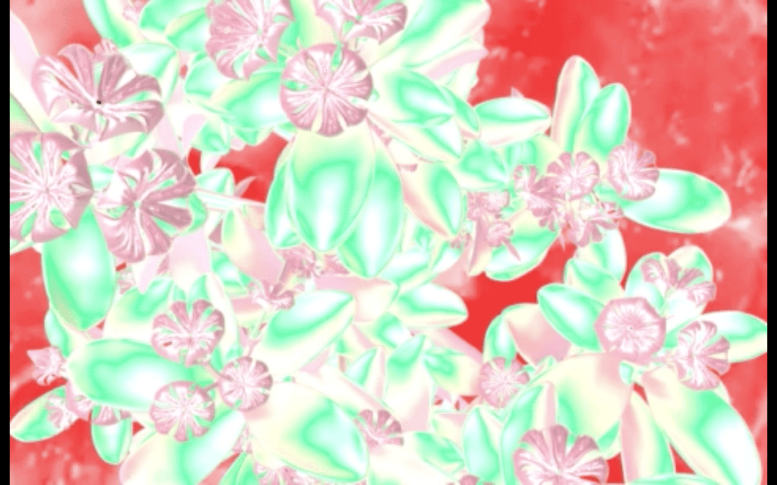 cherryblossoms(popped)