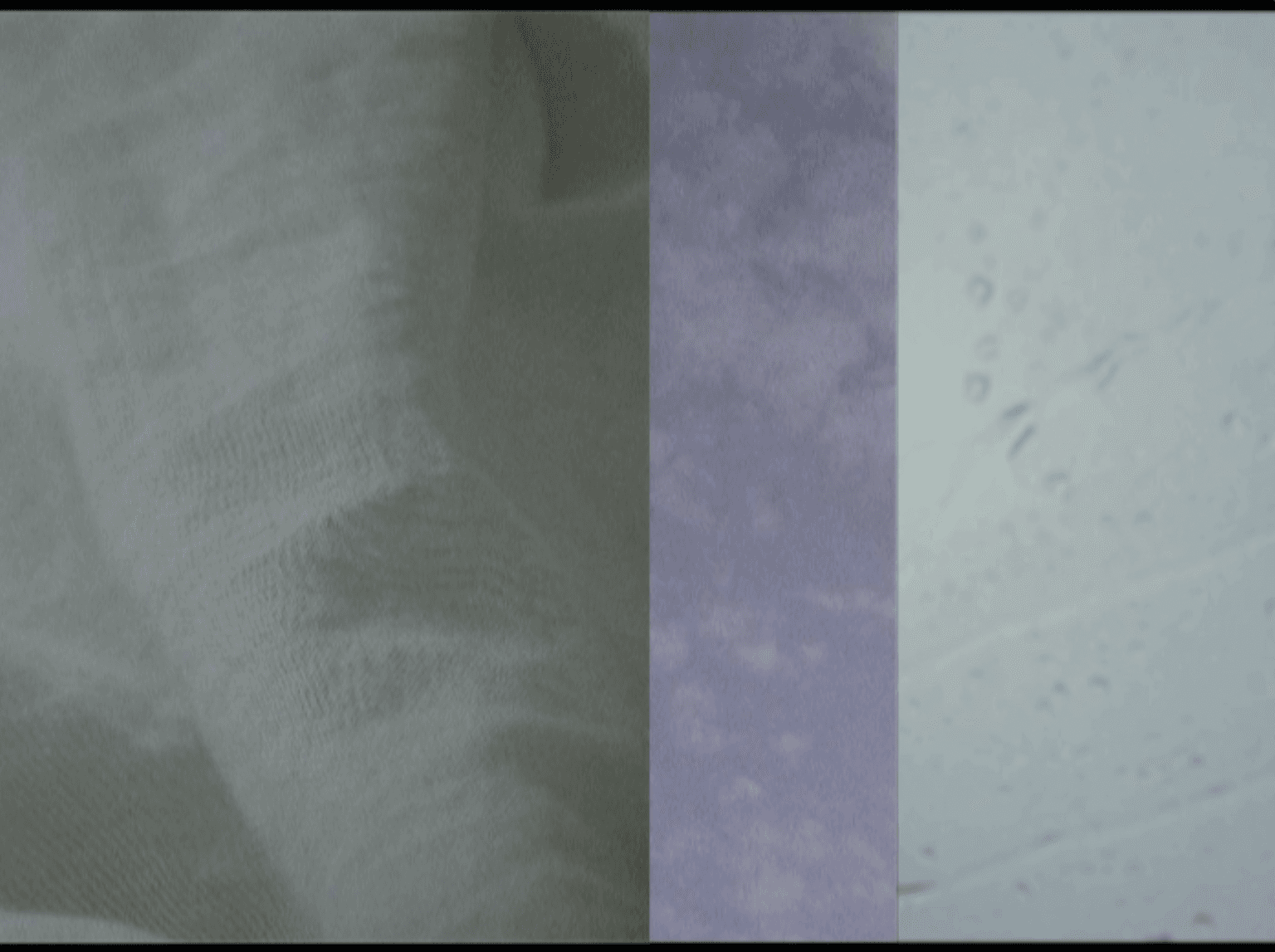 Study 1: Air Displacement