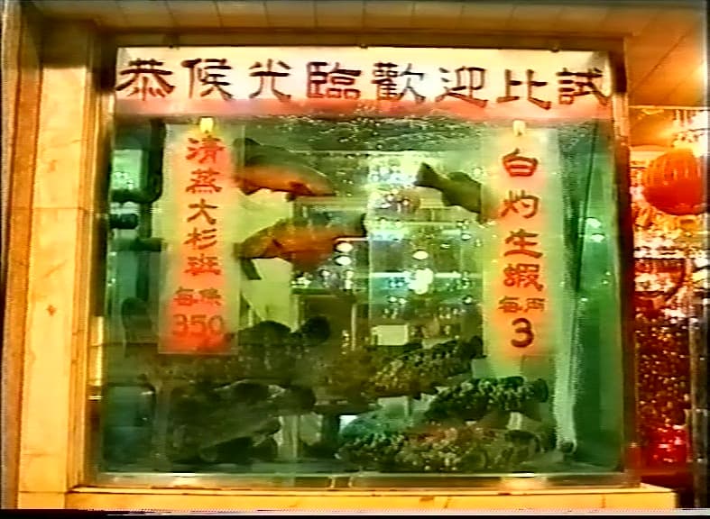 Fish Story 魚的故事