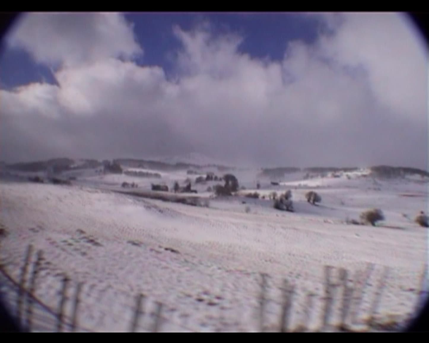 I Do Let Her My Head Have 我遊