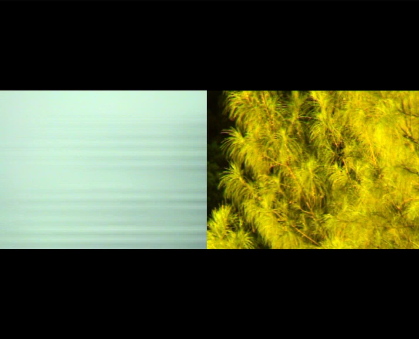 The Dance in Peach Flower Garden 桃花園的舞影