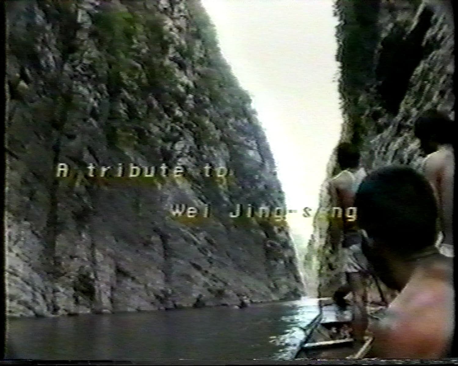 A Letter to Mo 給毛的一封信