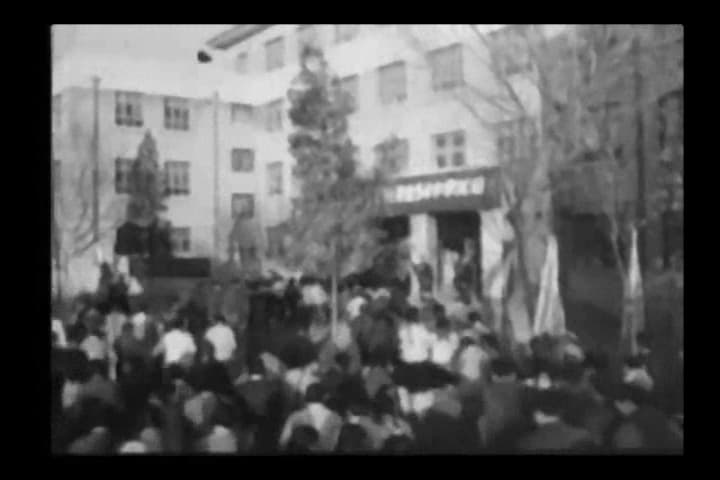 I Love the Country But Not the Party (Party version) 我愛郊野,但不愛派對 (Party版)