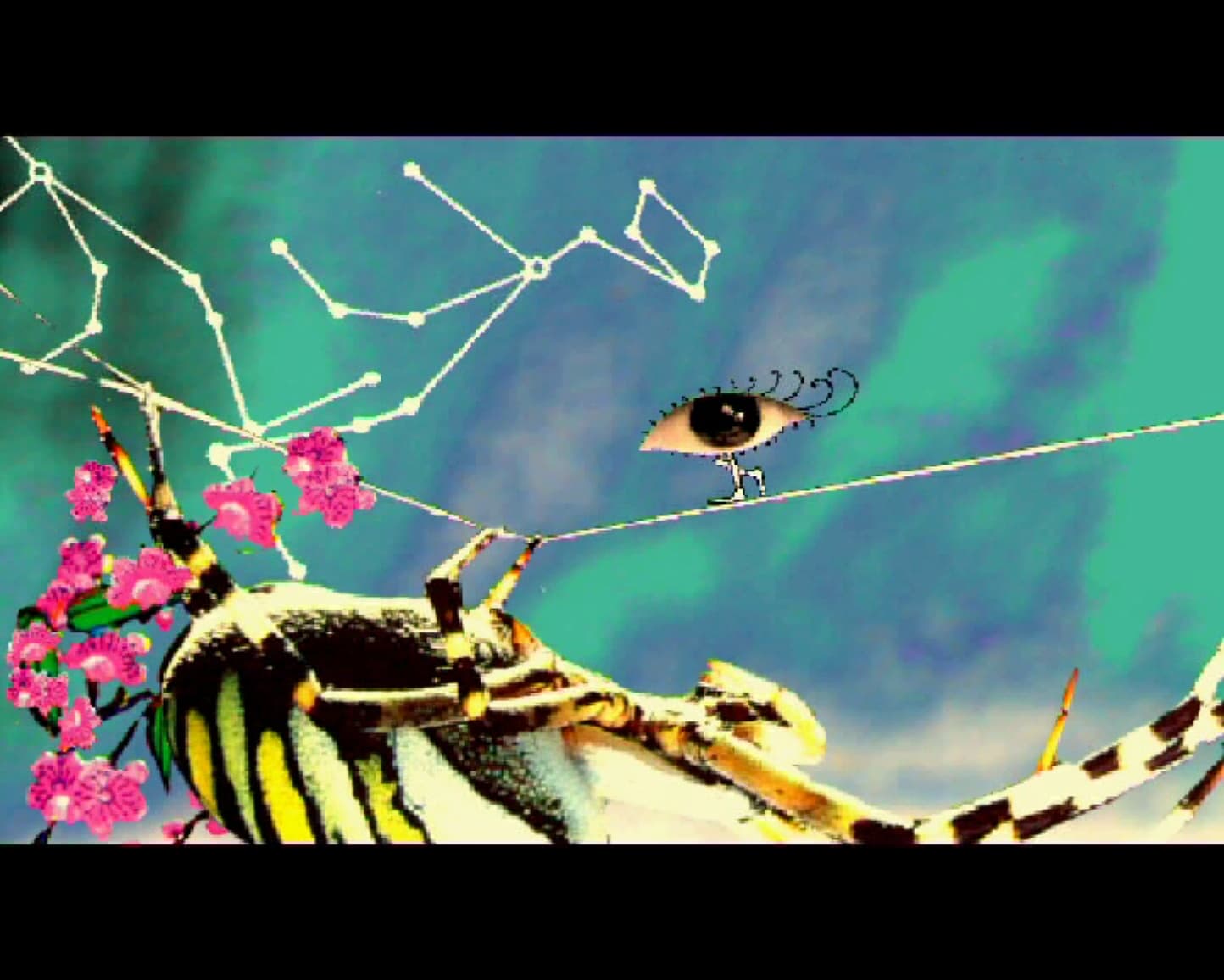 My Sparkling Wonderland