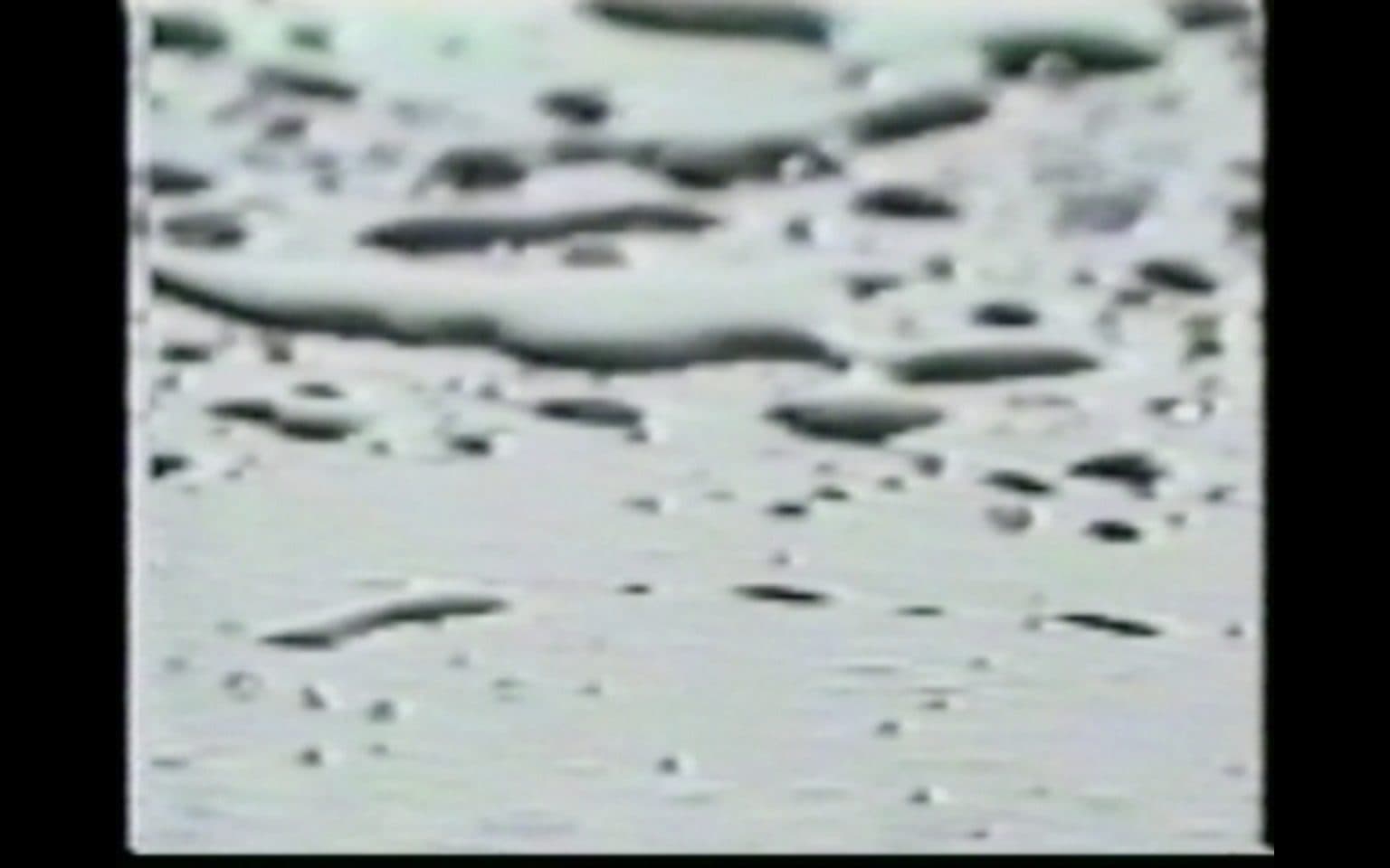 Video is a Hole 錄像肚臍