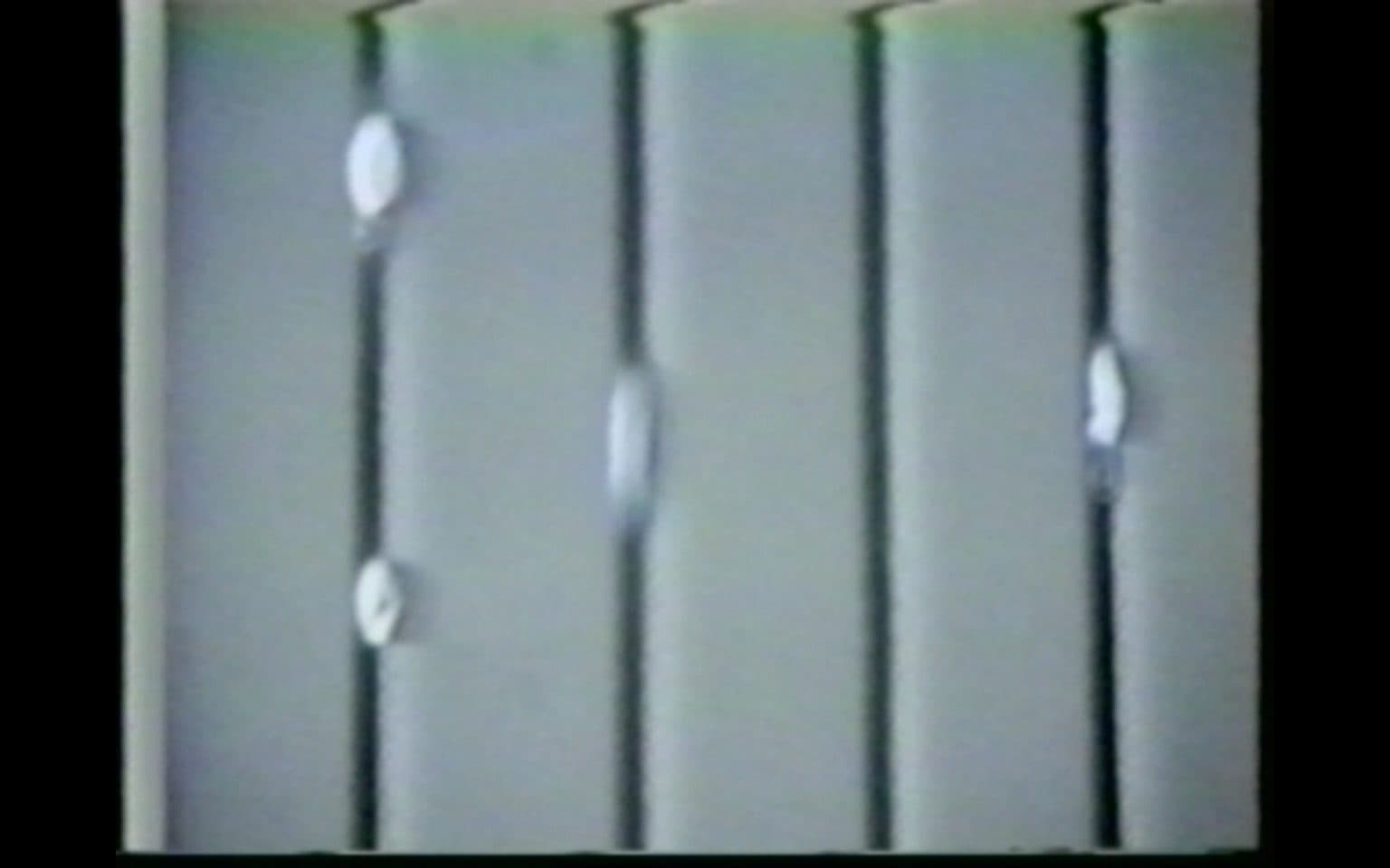 Garden at Fringe 躪開