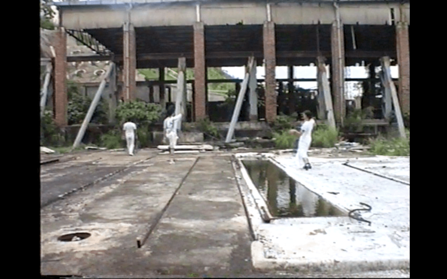 Double Fading Footage Master 雙重失色 坪洲Footage Master