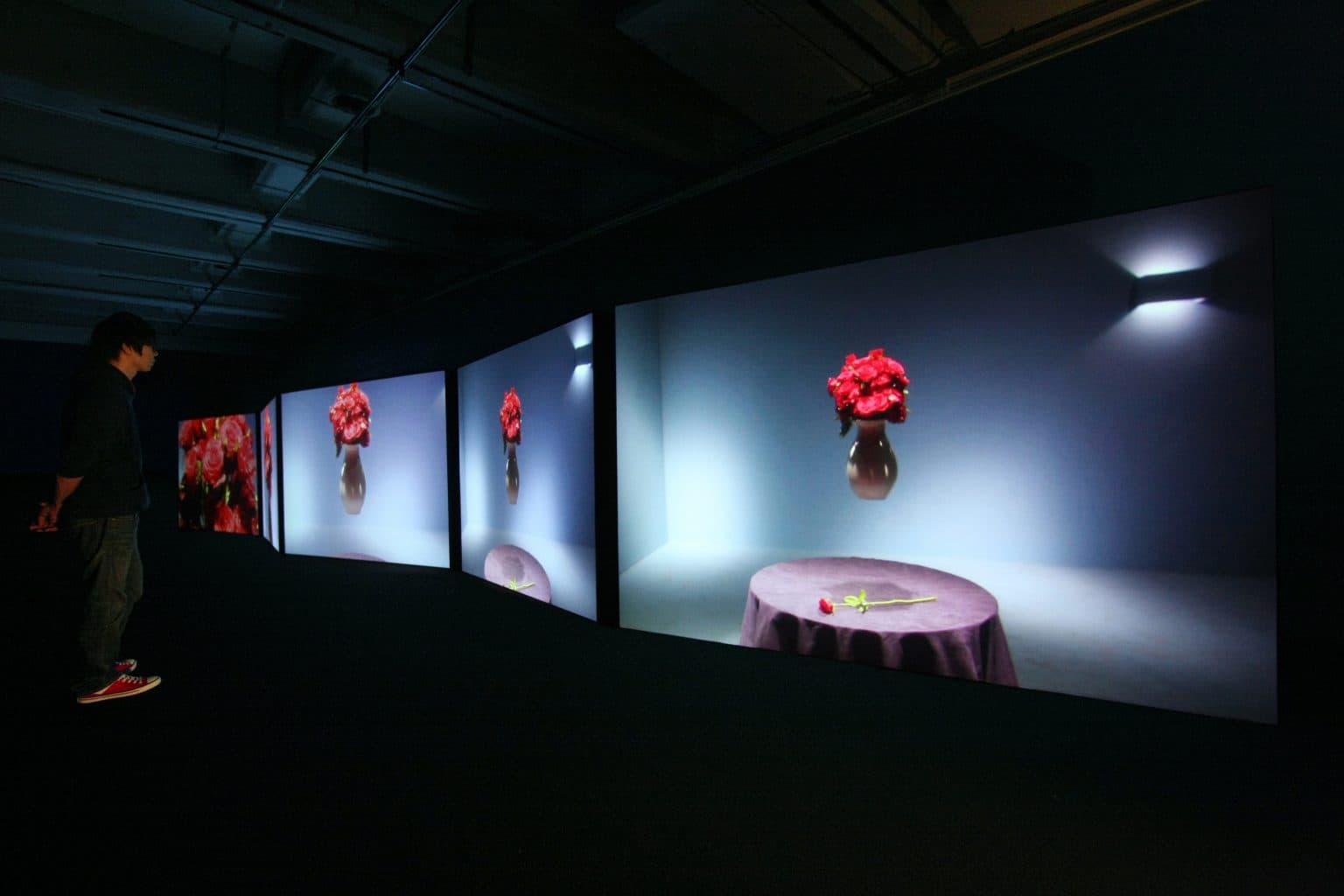 Project David III: David’s Paradise 大衛計畫第三部: 大衛天堂