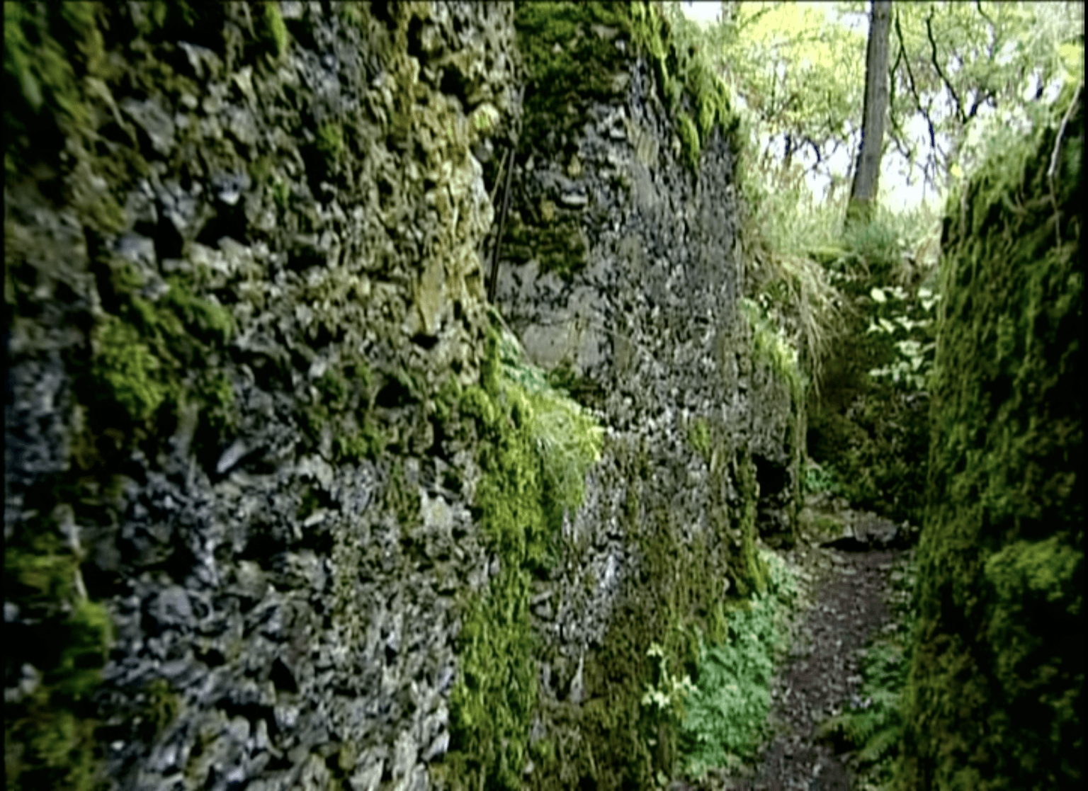 HWK (The Scars of the Invisible)