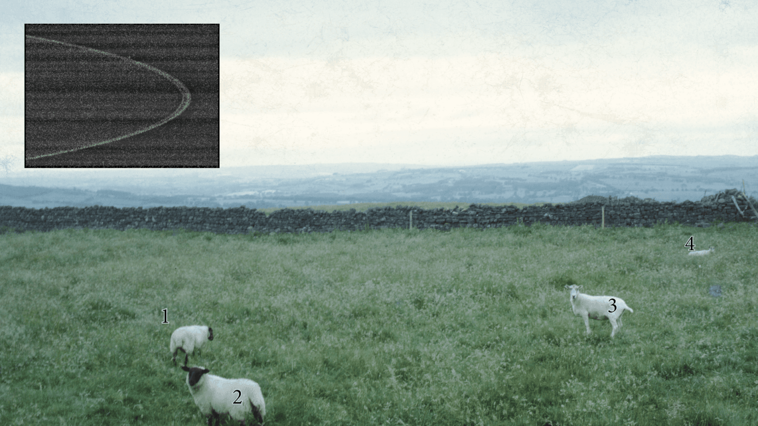 Localized Blindness 局部失明