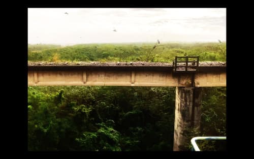 Train, Point Nemo, Astronaut and Starling 火車、尼莫點、人造衛星與椋鳥