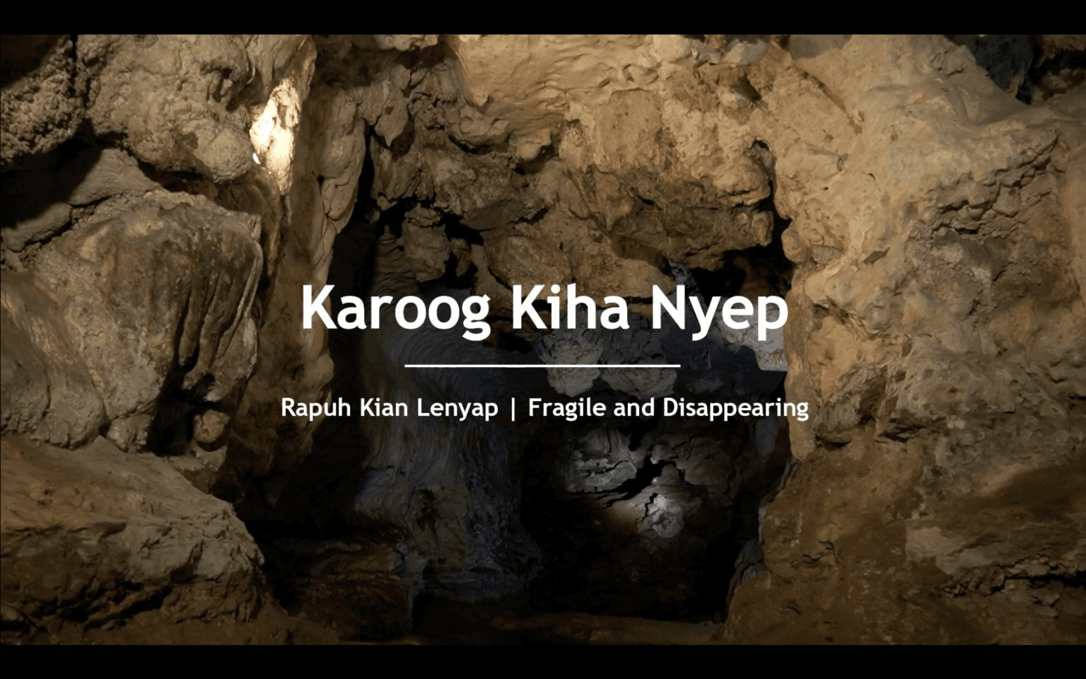 Fragile And Disappearing