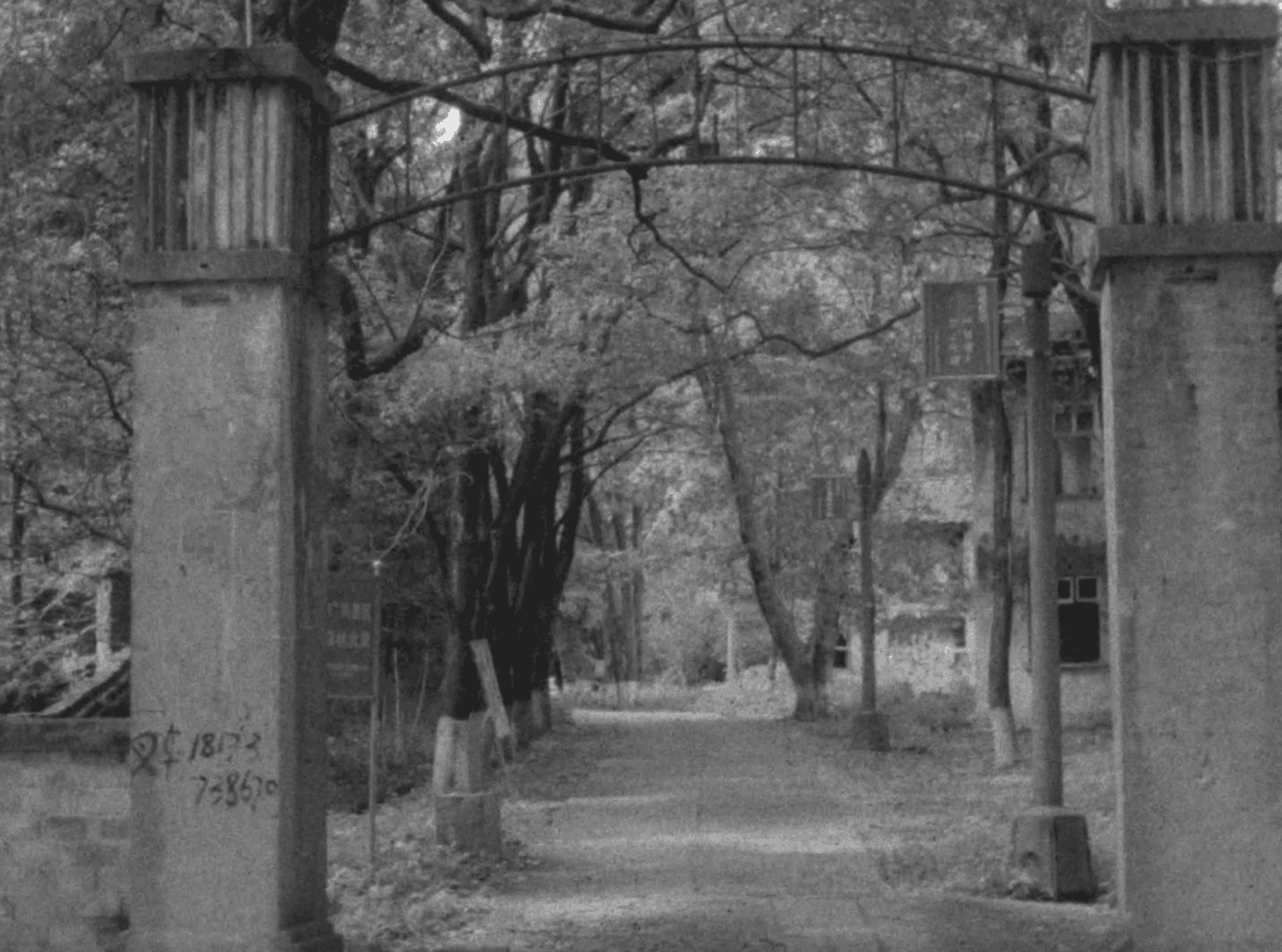 The Cyan Garden 青園