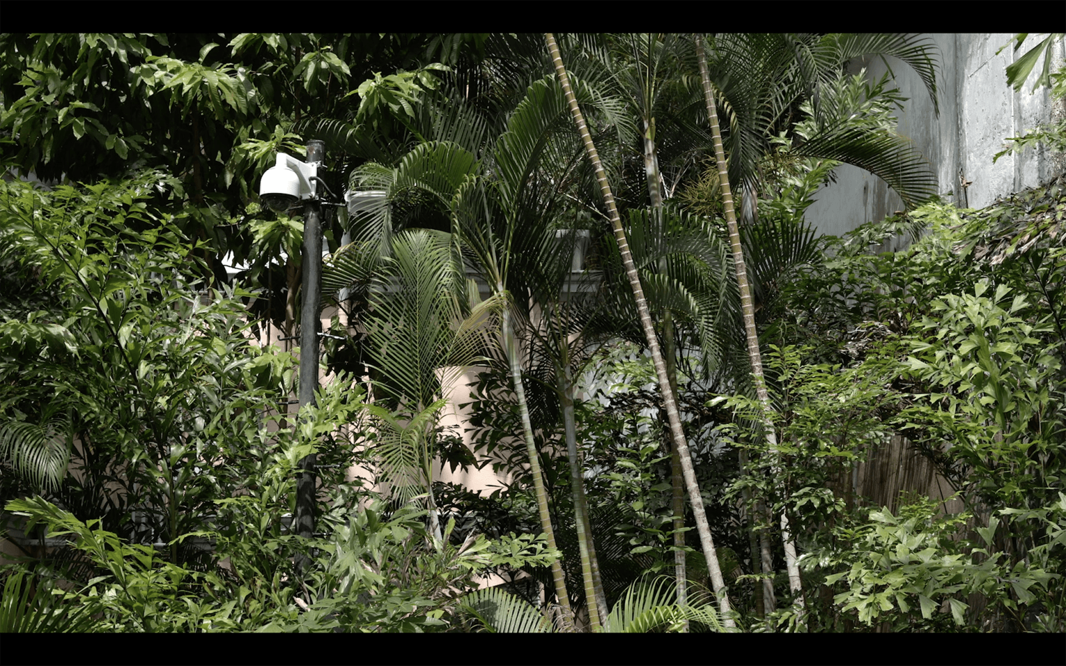 Panoptic Paradise: Stereotypical Behavior 全景樂園:重複性行徑