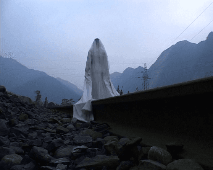 Peach Blossom 桃花