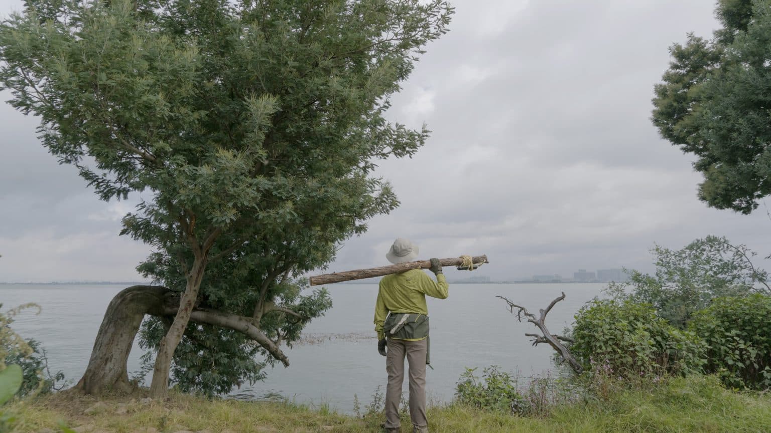 There They Return Again 2 還歸何處2