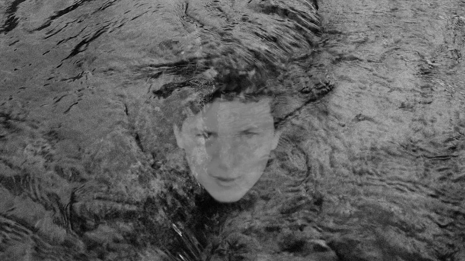 Pave Your Path: Sweet Loss Pave Your Path: 甜蜜的損失