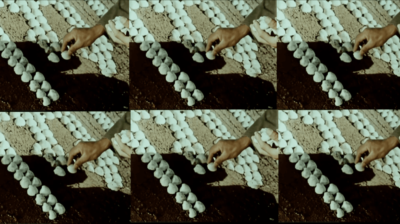 Letter to T: in nuclearity, we are connected 致T: 我們在核中聯結