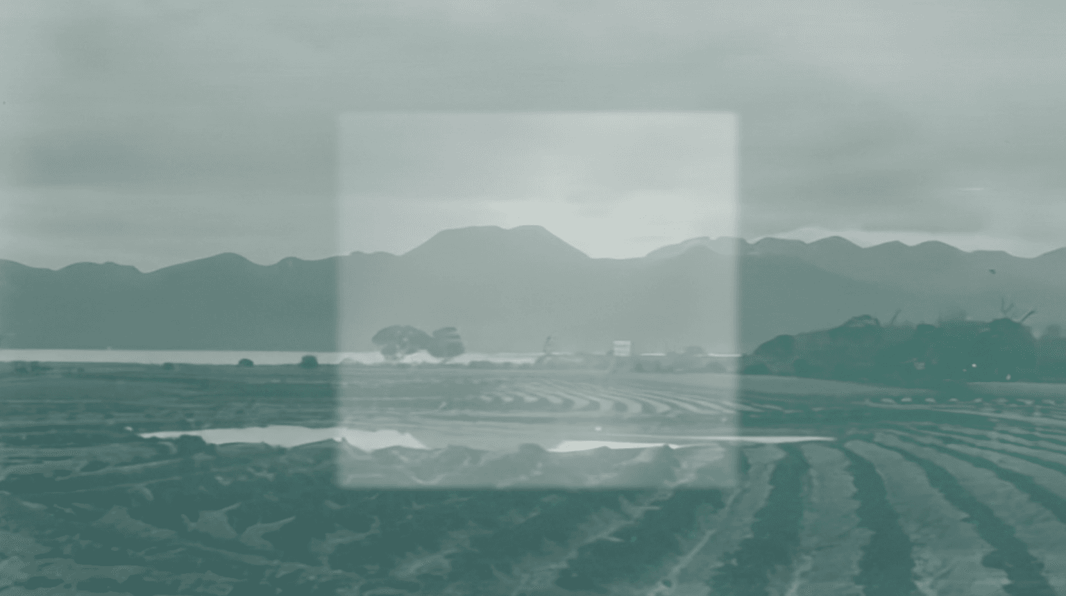 Passed Scenes 過境